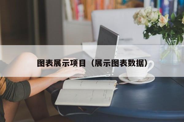 图表展示项目（展示图表数据）